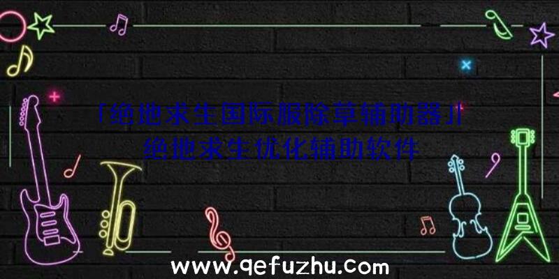 「绝地求生国际服除草辅助器」|绝地求生优化辅助软件
